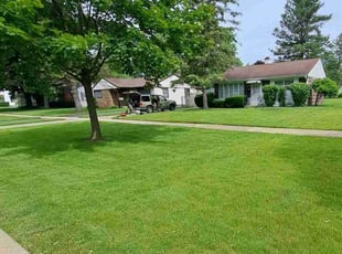 Richard M.'s turf care service result