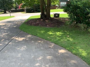 Barry D.'s lawn maintenance service result