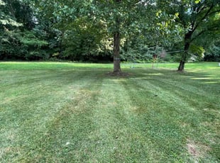 Bendu J.'s grass maintenance service result