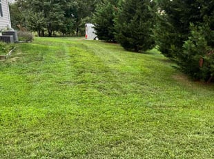 Enid S.'s grass cutting service result