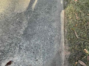 Irene D.'s lawn service service result