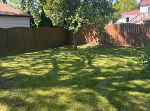 Leanne C.'s lawn maintenance service result