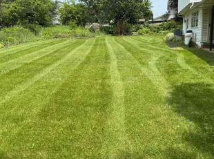 Virginia F.'s lawn care services service result