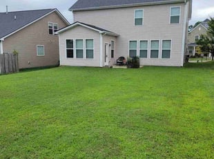 Tracy N.'s turf care service result