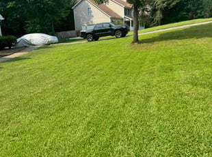 Daniel R.'s grass cutting service result
