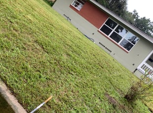 Curtis G.'s Bush Trimming service result