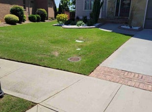 Gary B.'s lawn care services service result