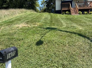Daniel R.'s turf maintenance service result