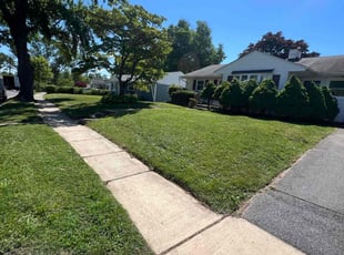 Kaukab I.'s lawn maintenance service result