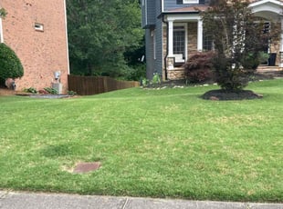 Erin S.'s lawn care service result