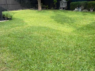 Emily M.'s lawn care services service result