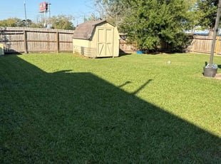 Crystal P.'s turf maintenance service result