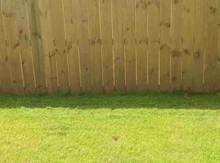 Daniel M.'s turf maintenance service result