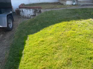 David H.'s lawn care service result