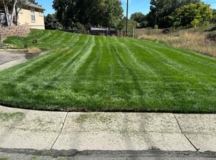 Sabrina H.'s lawn maintenance service result
