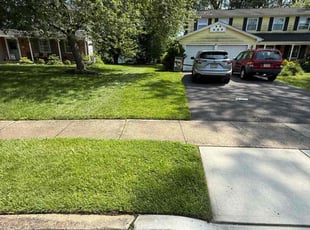 Sandy W.'s turf maintenance service result