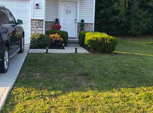 Lorna L.'s Bush Trimming service result