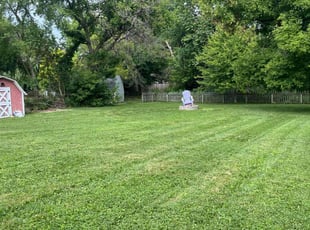 Joyce L.'s lawn service service result