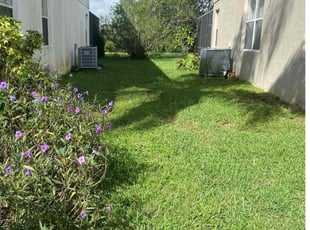 Benjamin S.'s lawn care service result