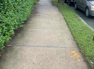 Aleysha M.'s lawn maintenance service result