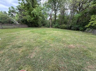 Brandi M.'s grass cutting service result