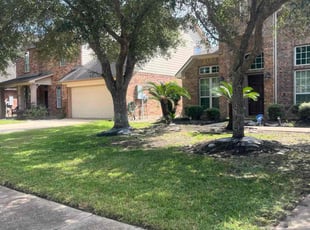 Jill F.'s turf care service result