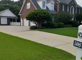 Cathy C.'s turf care service result