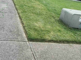 Michael B.'s lawn care services service result