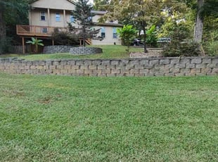 Sarah H.'s turf maintenance service result