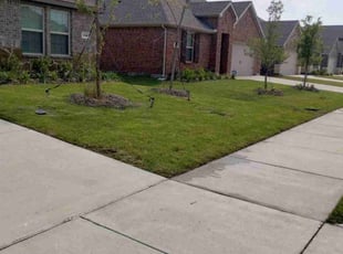 Theresa S.'s turf maintenance service result