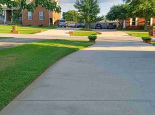 Anne T.'s lawn care services service result