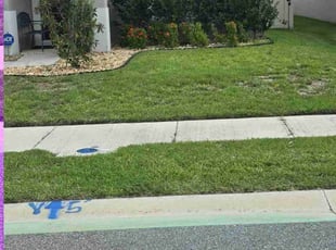 Mike B.'s grass cutting service result
