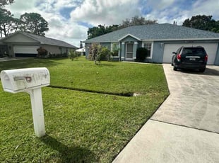 Olivia B.'s turf care service result