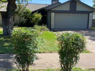 Kris S.'s Bush Trimming service result