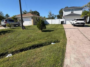 Rob D.'s lawn maintenance service result