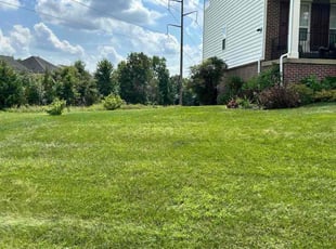 Victoria A.'s lawn care services service result