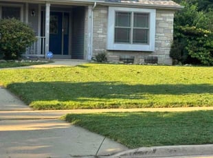 Ben B.'s Flower Bed Weeding service result