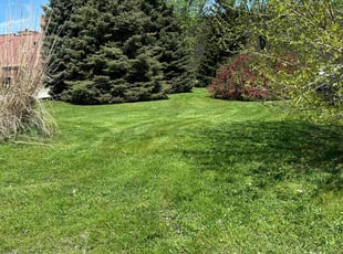 Fred M.'s landscaping services service result