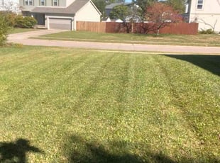 Dave S.'s grass cutting service result