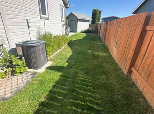 Phil H.'s grass cutting service result