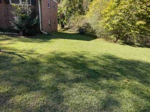 Yanne S.'s lawn care service result