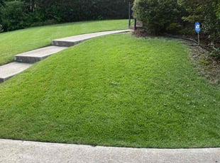 Brittany D.'s grass maintenance service result