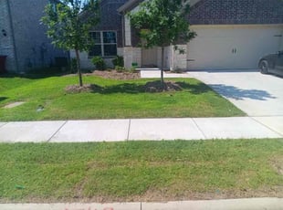 Terri D.'s lawn maintenance service result