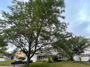 Bobby R.'s grass maintenance service result