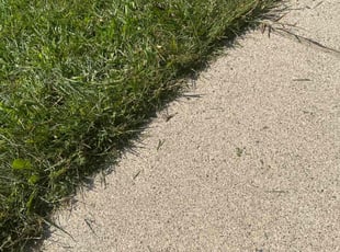 Tracy H.'s lawn care services service result