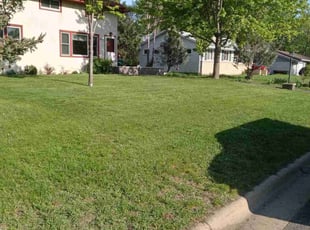 Vicki B.'s lawn service service result