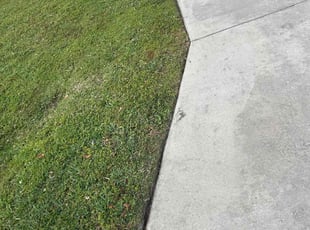 Marlene M.'s lawn maintenance service result