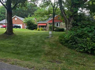 Jason M.'s Bush Trimming service result