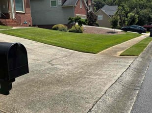 Laura C.'s grass maintenance service result