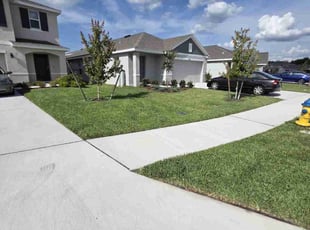 Mary F.'s lawn service service result